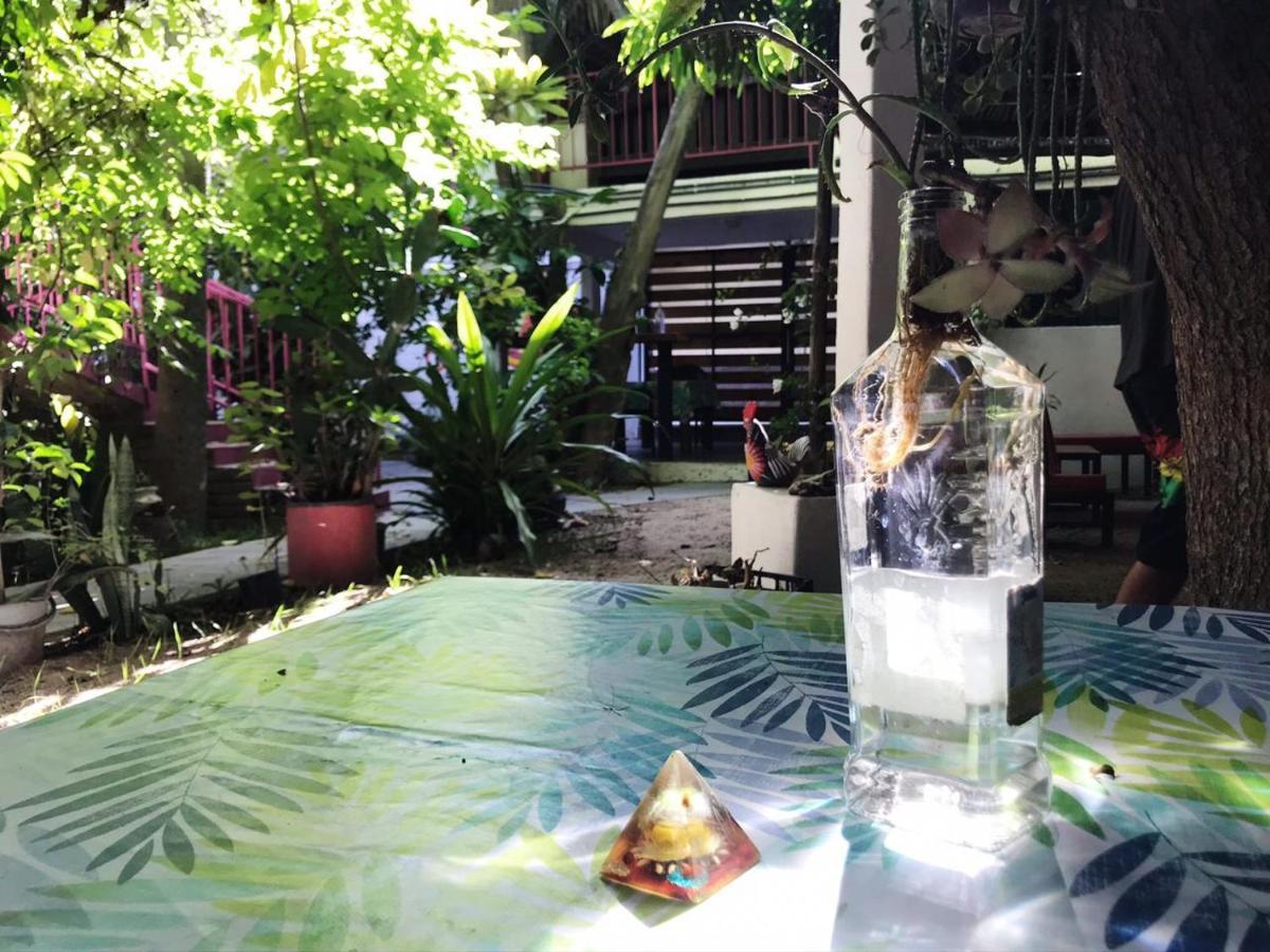 Hotel Posada Senor Manana San José del Cabo 외부 사진