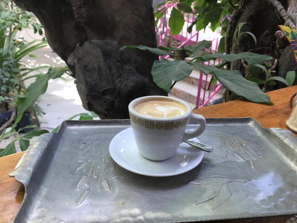 Hotel Posada Senor Manana San José del Cabo 외부 사진