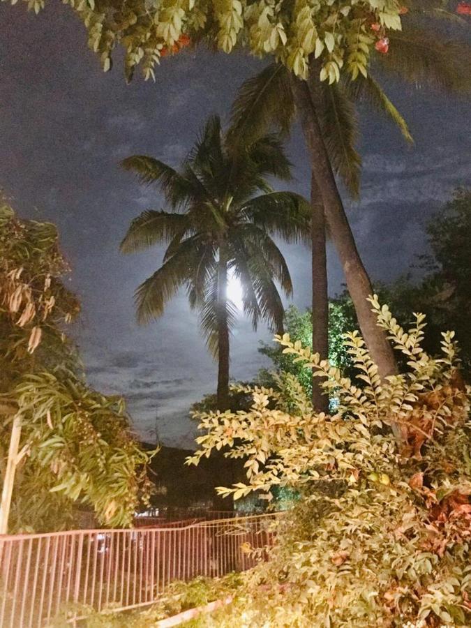 Hotel Posada Senor Manana San José del Cabo 외부 사진