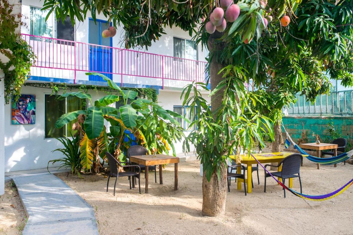 Hotel Posada Senor Manana San José del Cabo 외부 사진